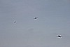 Duxford dimanche 165.jpg