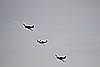 Duxford dimanche 399.jpg